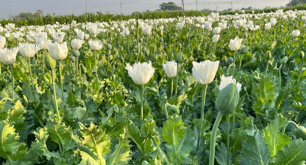 Training of CBN Officers Picture